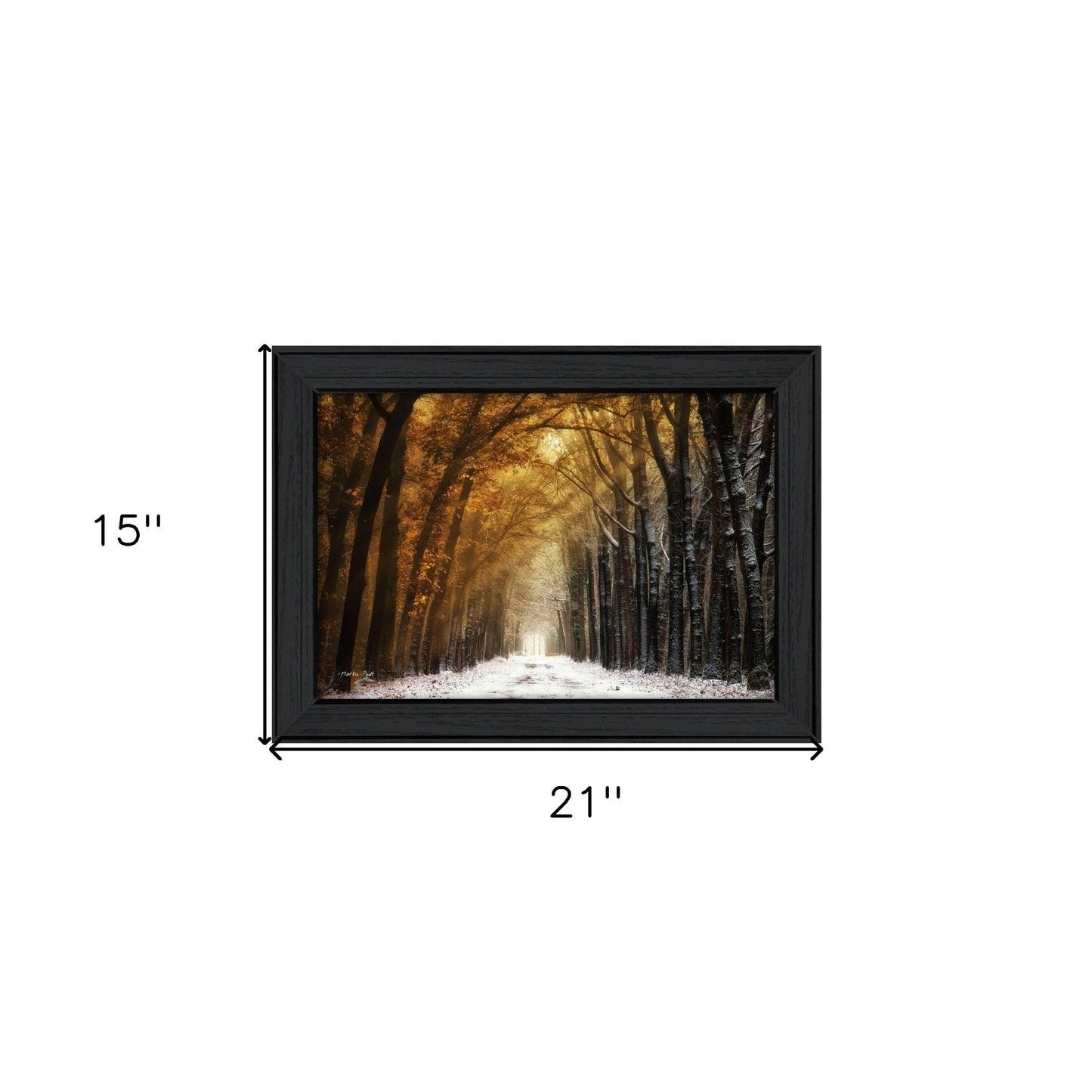 Autumn to Winter Black Framed Print Wall Art - Galactic capuchin