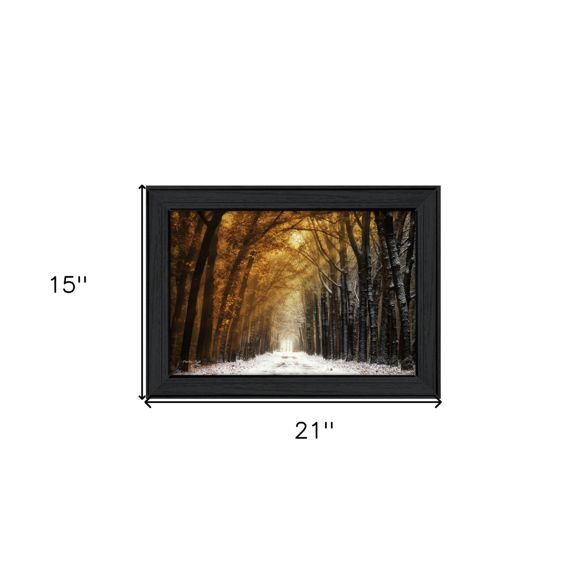 Autumn to Winter Black Framed Print Wall Art - Galactic capuchin