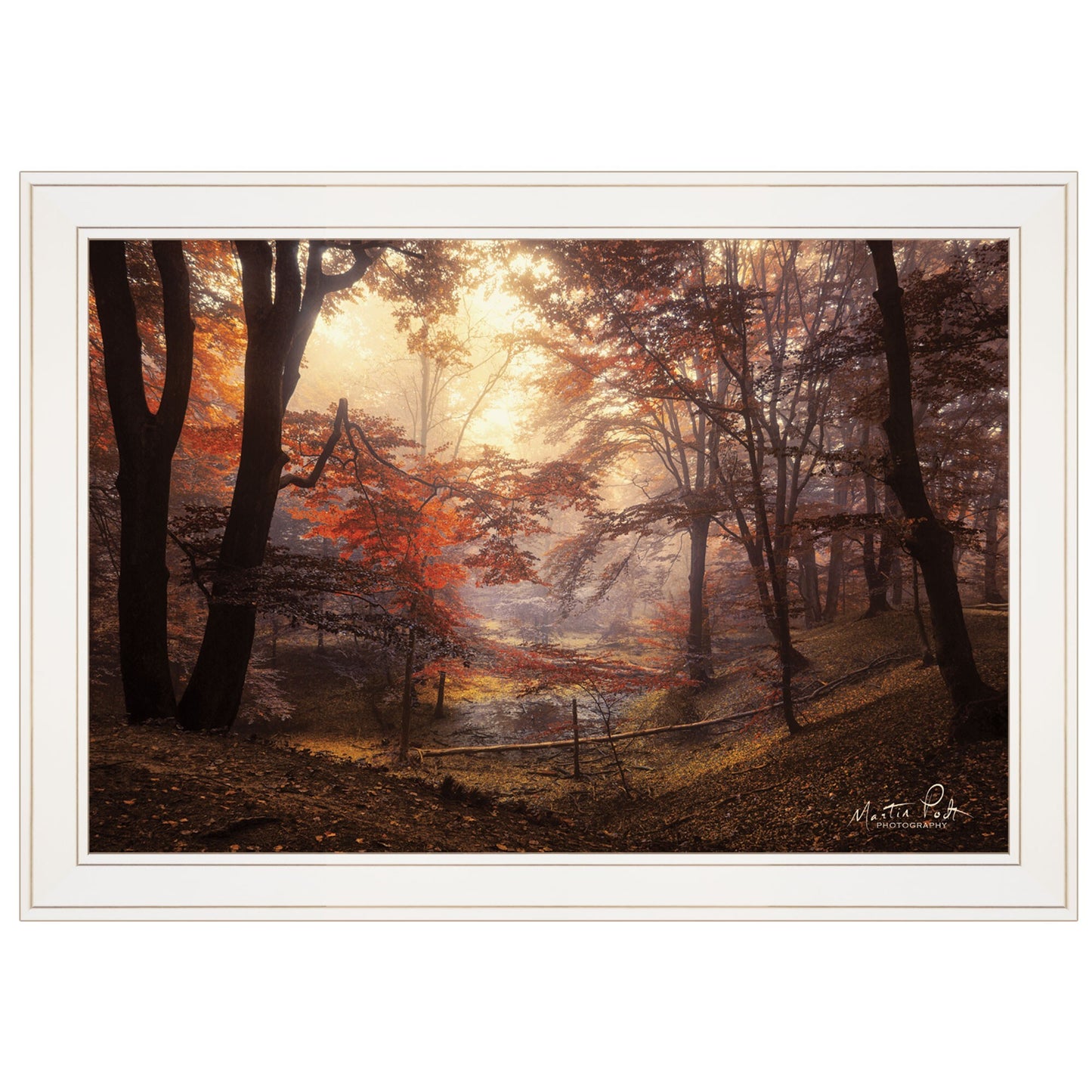 The Pool 1 White Framed Print Wall Art - Galactic capuchin