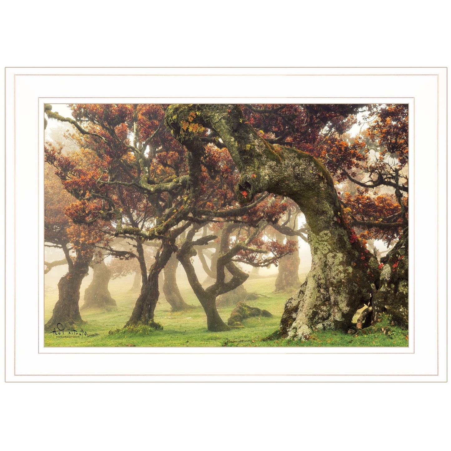Fanal White Framed Print Wall Art - Galactic capuchin