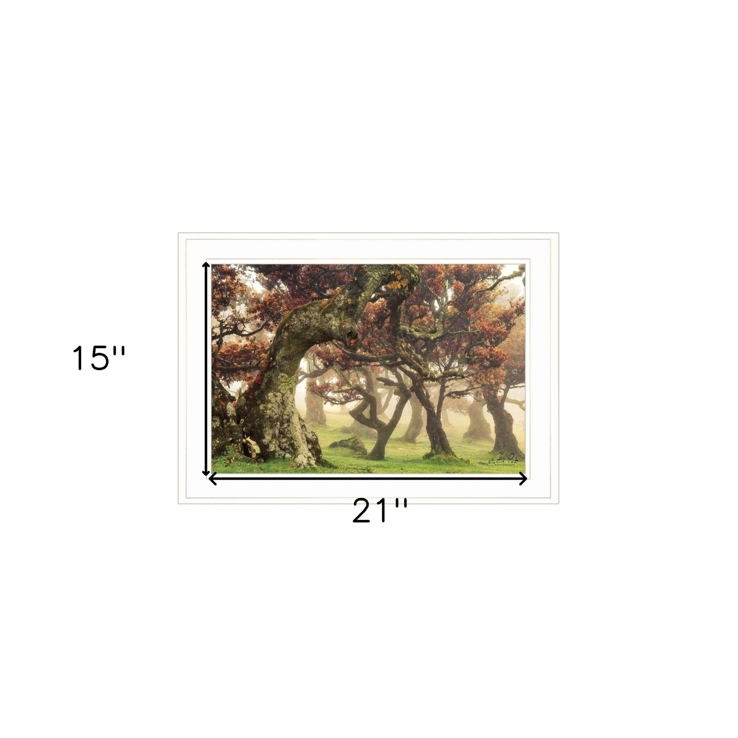 Fanal White Framed Print Wall Art - Galactic capuchin