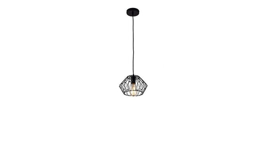 Black Metal Cage Modern Industrial Single Bulb Hanging Pendent Light - Galactic capuchin
