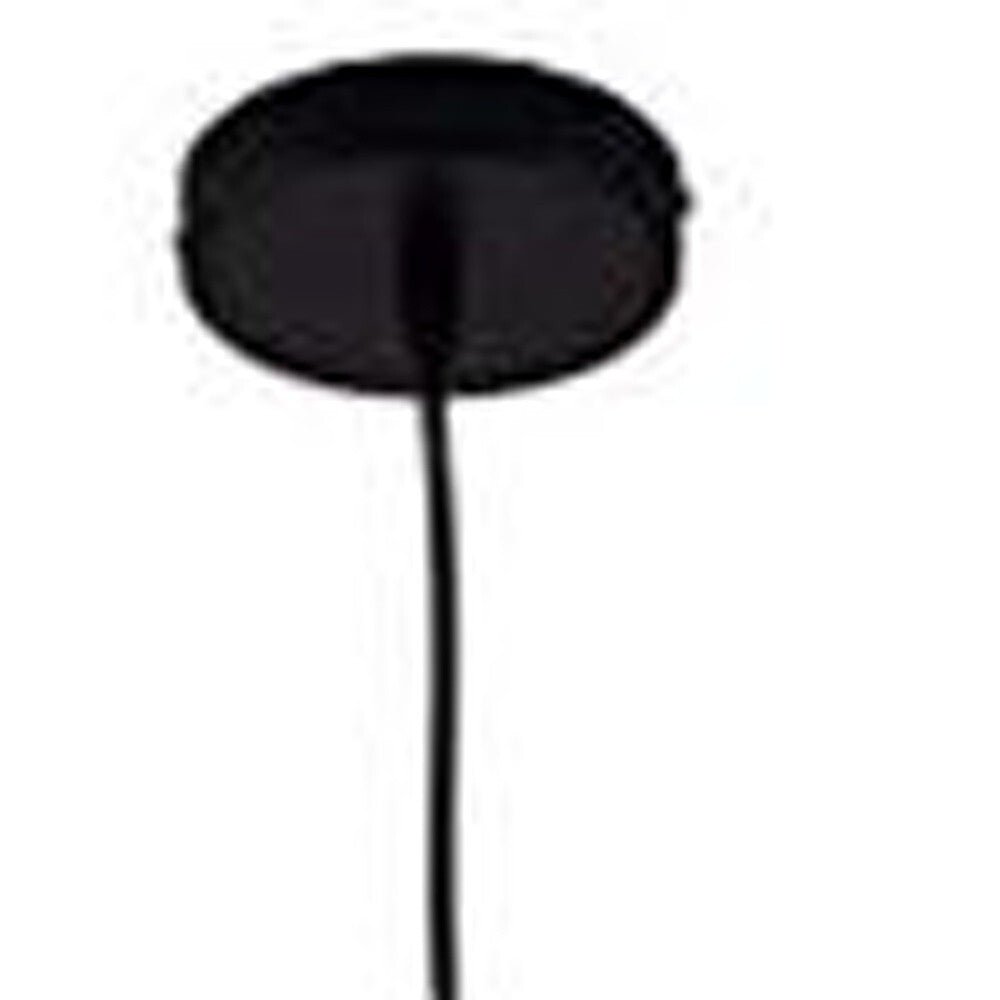 Black Metal Cage Modern Industrial Single Bulb Hanging Pendent Light - Galactic capuchin