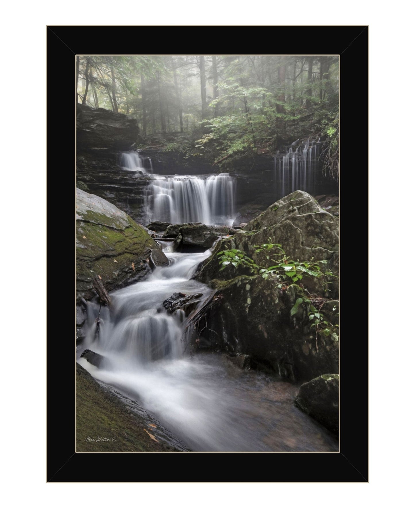 Ricketts Waterfall Black Framed Print Wall Art - Galactic capuchin
