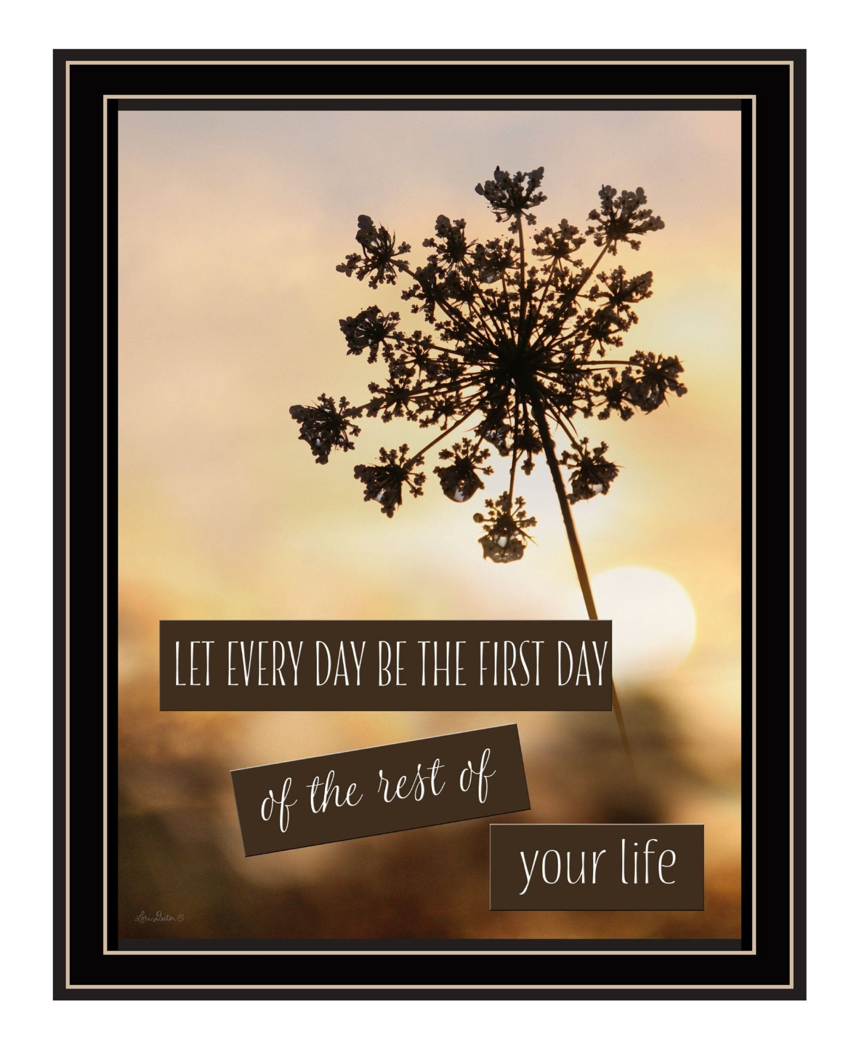 The First Day Black Framed Print Wall Art - Galactic capuchin
