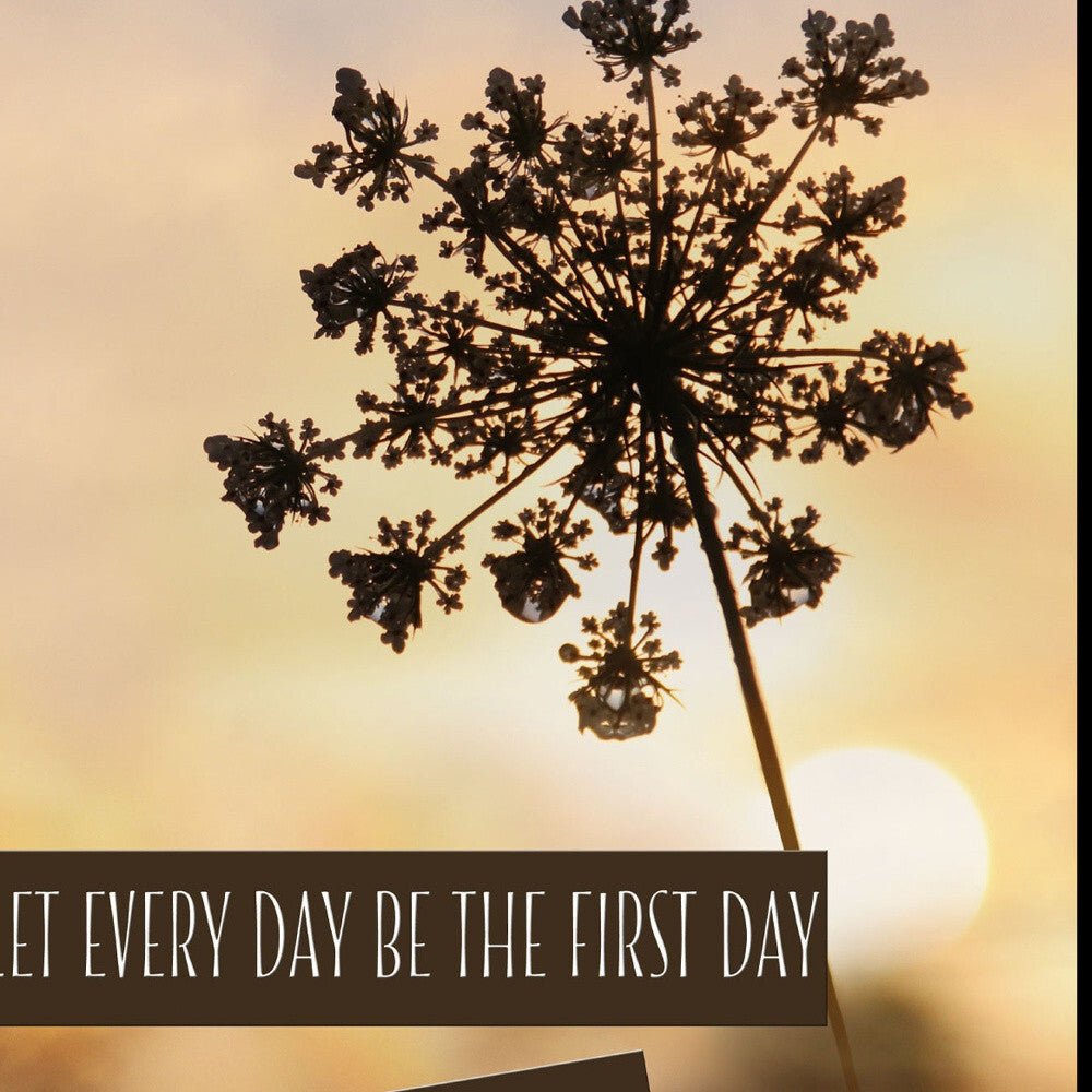 The First Day Black Framed Print Wall Art - Galactic capuchin