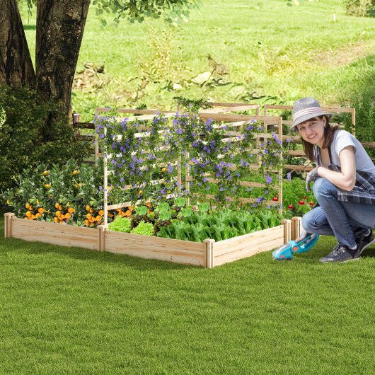 Raised Garden Bed with 2 Planter Boxes and 3 Trellis - Natural - Galactic capuchin