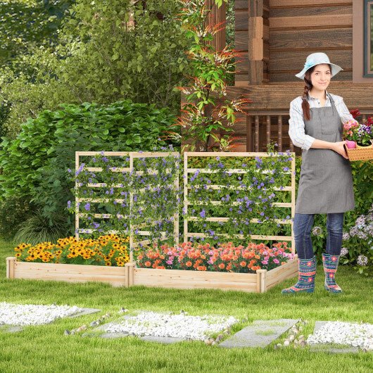 Raised Garden Bed with 2 Planter Boxes and 3 Trellis - Natural - Galactic capuchin