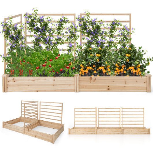 Raised Garden Bed with 2 Planter Boxes and 3 Trellis - Natural - Galactic capuchin